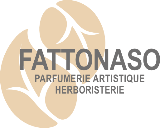 fattonasofirenze